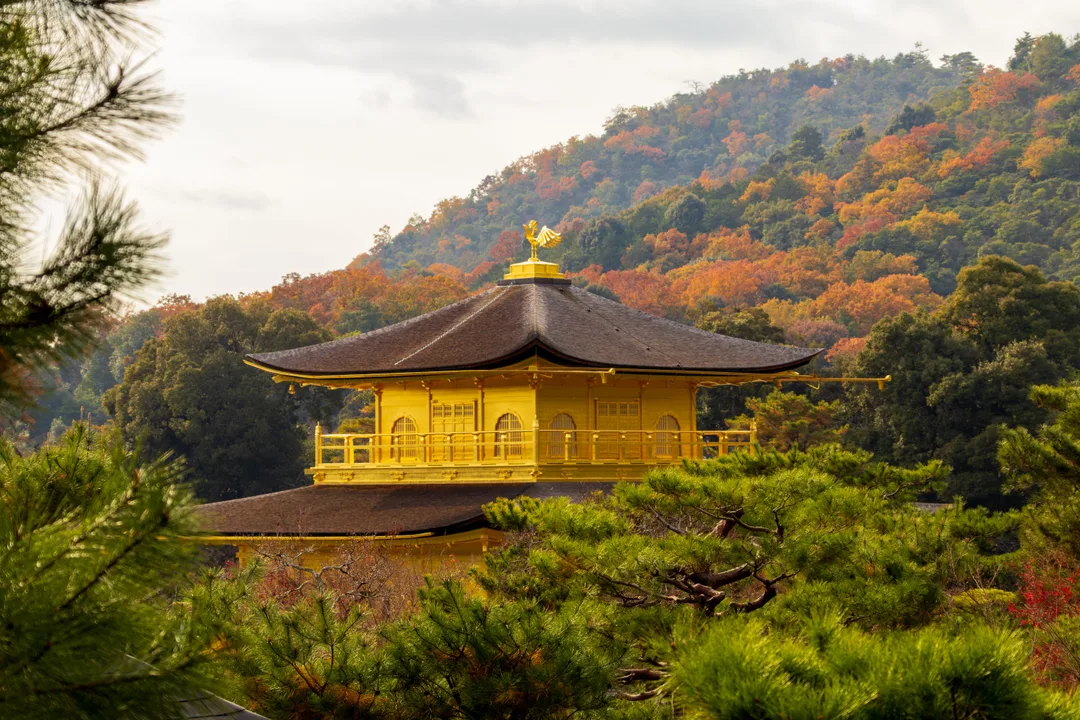 Japanese temple surrounded by red and orange autumn maple leaves